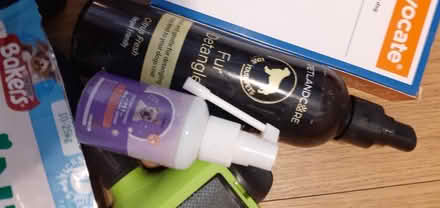 Photo of free Dog items (Harlow Stow area) #3