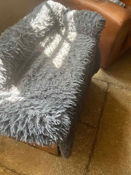 Photo of free Dog bed /sofa bed (Bradford on Avon BA15) #3