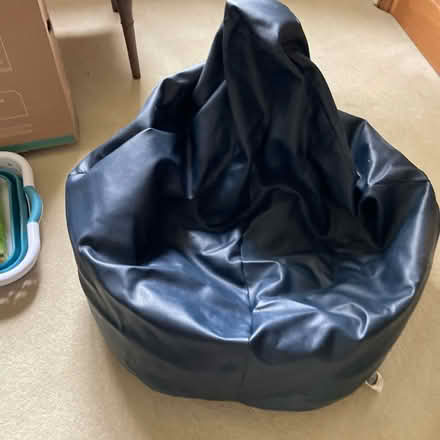 Photo of free 2 x Adult bean bags (Latimer HP5) #1