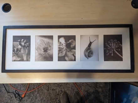 Photo of free Picture frames (San Mateo Knolls) #1