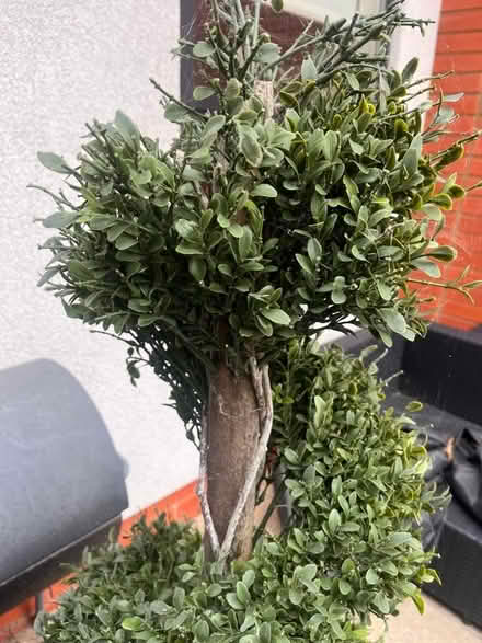 Photo of free Faux plants (Leigh-on-Sea SS9)