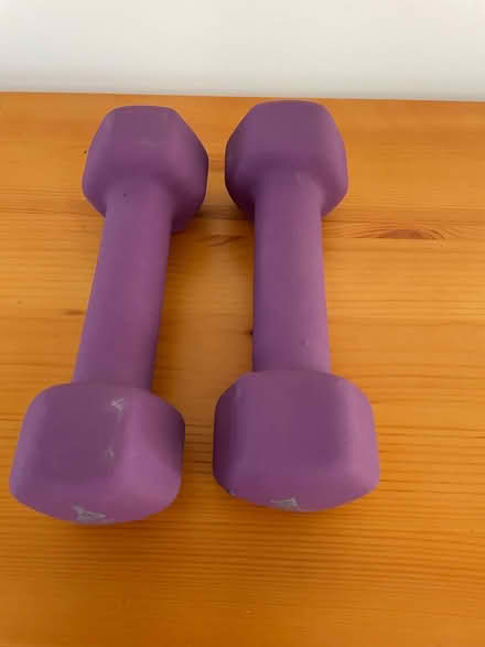 Photo of free 1.5kg weights (Harlow) #1