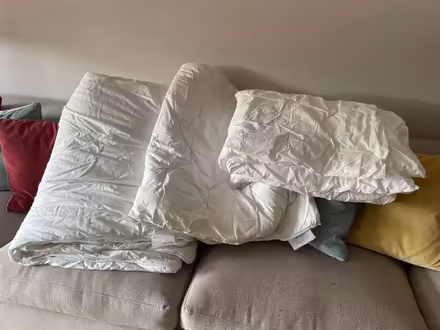 Photo of free 3 Single Duvets (Barnes, London SW13 9HJ) #1