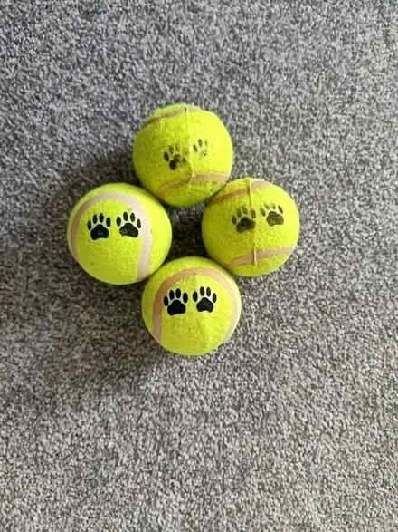 Photo of free Dog chew tennis balls (Kelham Island S3) #1
