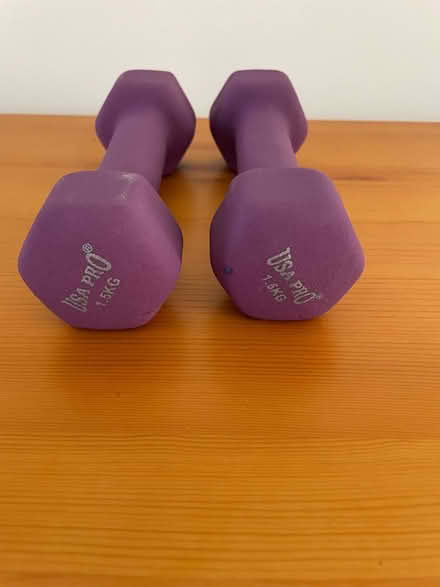 Photo of free 1.5kg weights (Harlow) #2