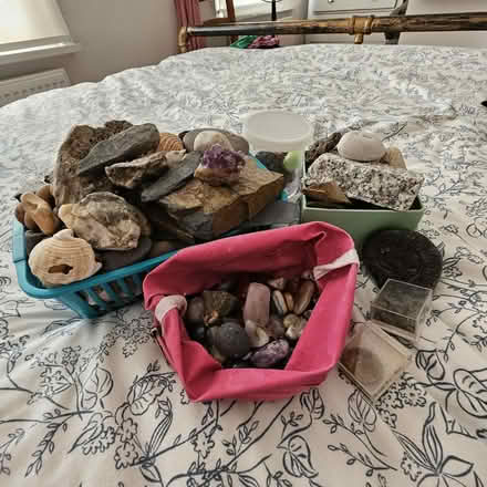 Photo of free Rocks, pebbles, shells and fossils (Maidenhead SL6) #1