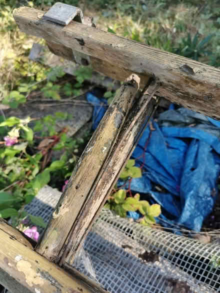 Photo of free Wooden vintage ladder decorative (M35 Failsworth, Manchester) #4