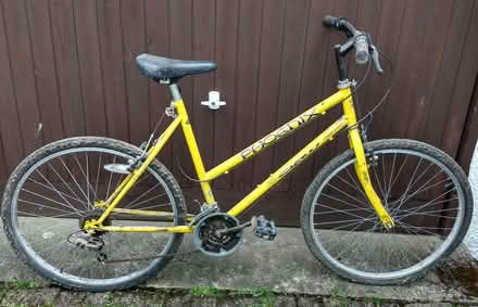 Photo of free Ladies Bike (Summerlands LA8) #1