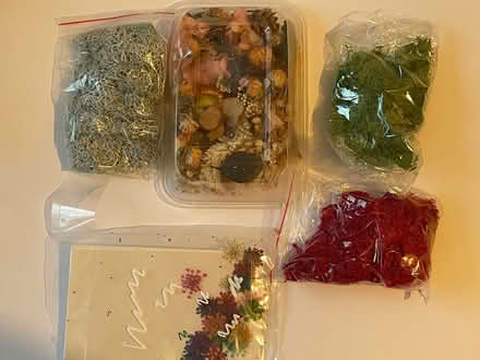 Photo of free Moss and dried flowers Crafting (Hackbridge SM5) #1