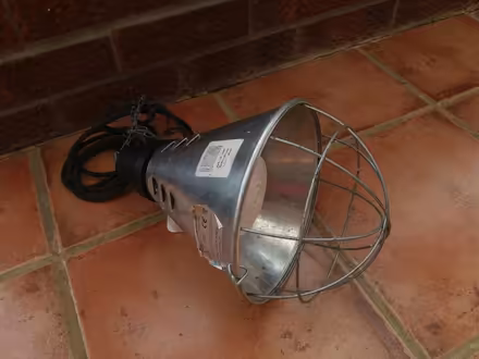Photo of free Livestock Heat Lamp (Rockland St Mary, NR14) #1
