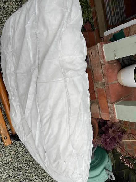 Photo of free Fibre filled cushions (SY4 3NF Bomere Heath) #1