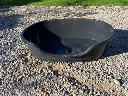 Photo of free Dogs Bed (Finchampstead RG40) #1
