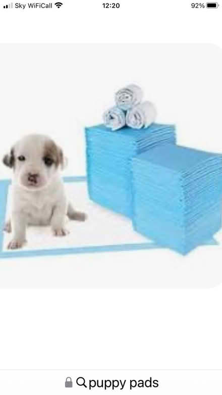 Photo of Puppy pads (Egerton Park CH42) #1