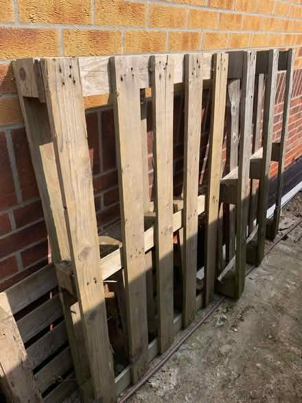 Photo of free Pallets (Thorpe Marriot NR8) #2