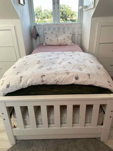 Photo of free Single bed plus trundle bed (Sydenham) #1