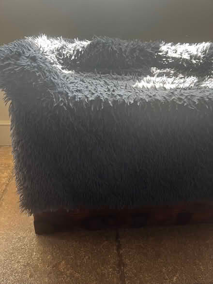 Photo of free Dog bed /sofa bed (Bradford on Avon BA15) #1