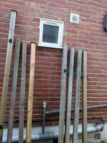 Photo of free Fence posts (Norbiton KT3) #1