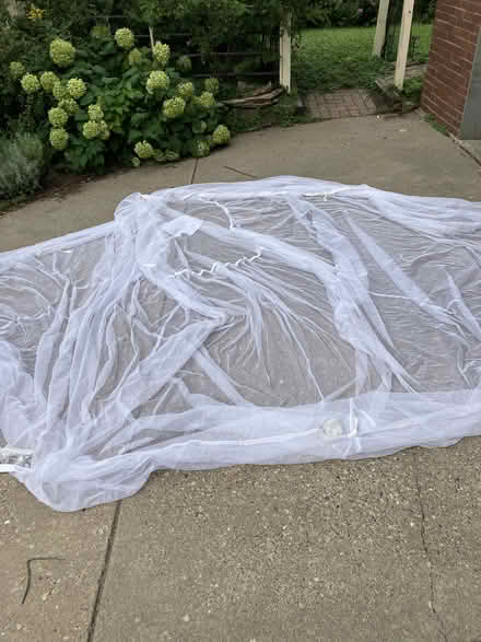 Photo of free Wasp traps, umbrella mosquito net (SW minneapolis) #2