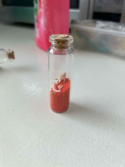 Photo of free 2 Miniature Souvenirs (SE16) #3