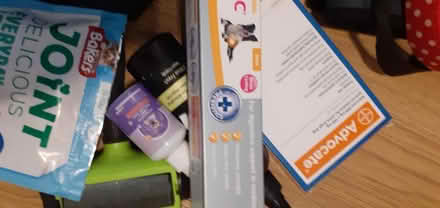 Photo of free Dog items (Harlow Stow area) #2