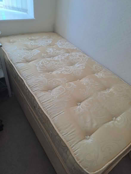 Photo of free Single divan bed (CV6) #1