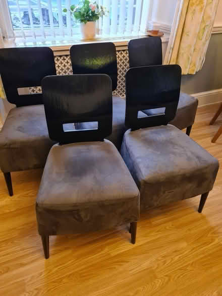 Photo of free Dining chairs (Penrith CA11) #1