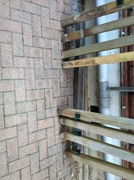 Photo of free Fence posts (Norbiton KT3) #2