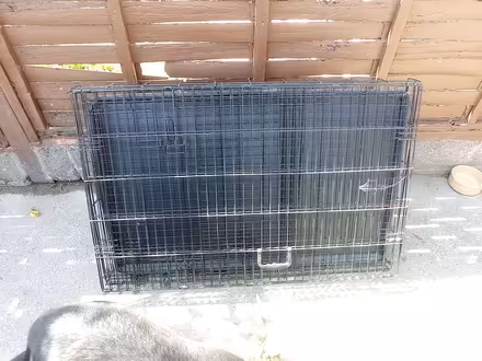 Photo of free Large metal dog crate with two doors and plastic tray. (Combe Down) #2