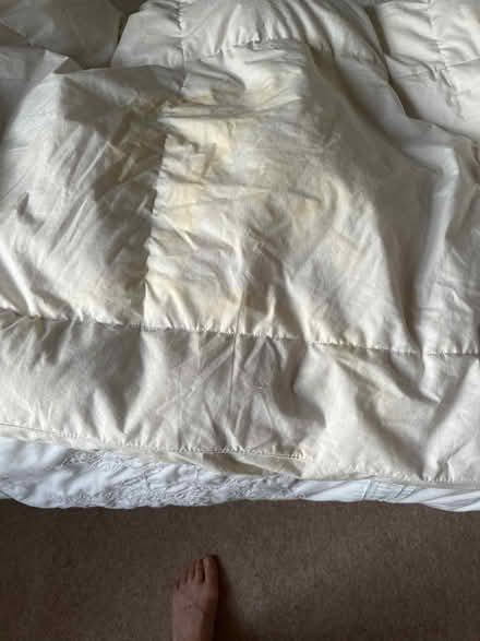 Photo of free Mattress topper (Ox1 4ss) #1