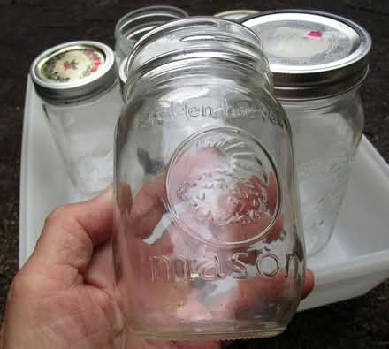 Photo of free Mason Jars (S.E. of Caledon Village) #1
