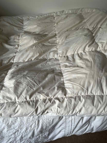 Photo of free Mattress topper (Ox1 4ss) #3