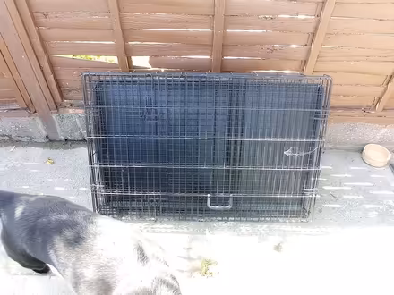 Photo of free Large metal dog crate with two doors and plastic tray. (Combe Down) #1