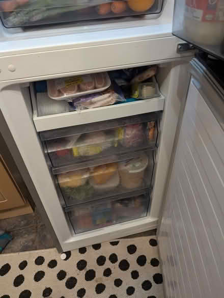 Photo of free Fridge freezer (Newtown WN5) #3