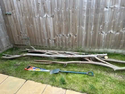 Photo of free Logs (Hulme Walfield CW12) #1