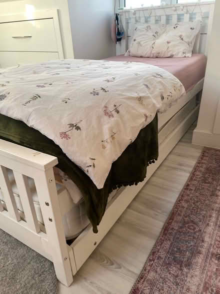 Photo of free Single bed plus trundle bed (Sydenham) #2