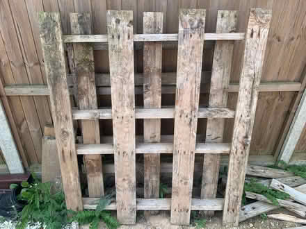Photo of free Pallets (Thorpe Marriot NR8) #1