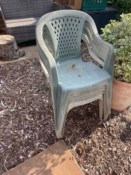 Photo of free 5 Garden chairs (Cm31dq) #1