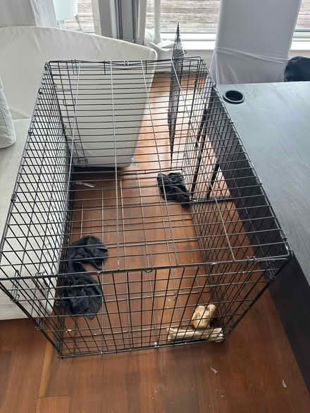 Photo of free Animal cage (Hendon NW4) #1