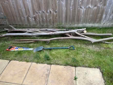 Photo of free Logs (Hulme Walfield CW12) #2