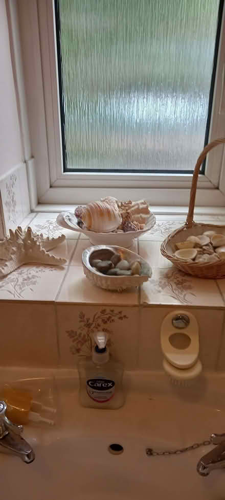 Photo of free Shells and Pebbles (Edmonton N13) #1