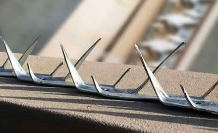Photo of free Galvanised metal security spikes (sharp) (Lostock Hall PR5) #1
