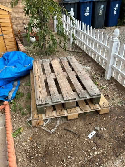 Photo of free 2 pallets (W7) #1