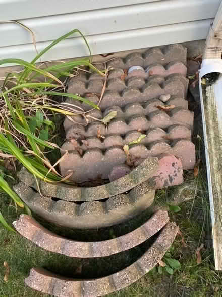 Photo of free brick garden edging (Downtown Bartlett) #1