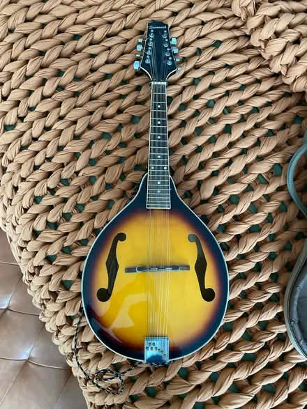 Photo of free Savannah mandolin (Poughkeepsie) #1