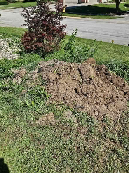 Photo of free Dirt pile (SW Allen County) #2