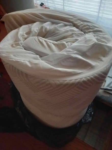 Photo of free clean twin foam mattress (Seatac) #1