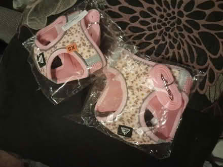 Photo of free Dog harness x2 (Canford Heath, BH17 8) #1