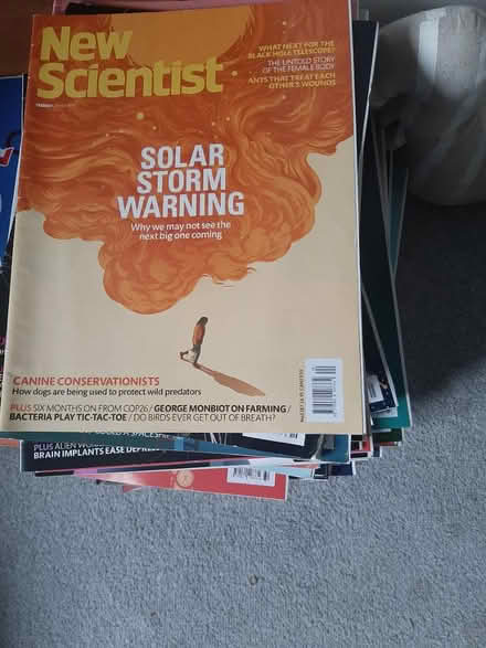 Photo of free Back Issues of New Scientist (Birds Marsh View, SN15) #1
