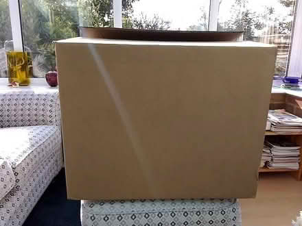 Photo of free Large cardboard box (Purley on Thames RG31) #1