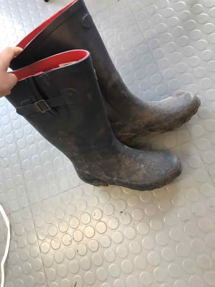 Photo of free Size 6 wellies (Fitzrovia, W1W) #1